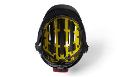 Gold Line Black