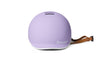 Jacaranda Purple